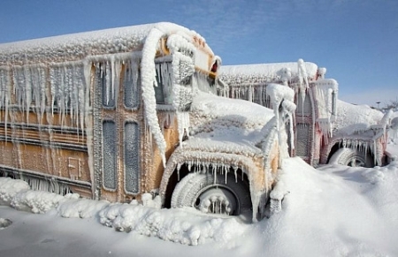 school-bus-snow
